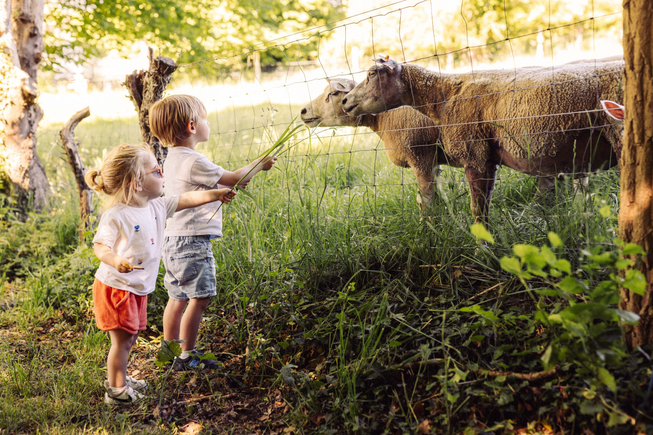 denk-mit-kita-kinder-ausflug-tiere